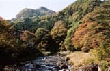 Autumn leaves in the Ohara Valley