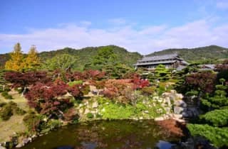 Mori-shi Garden Autumn Leaves 1