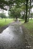Shingen-zutsumi Park