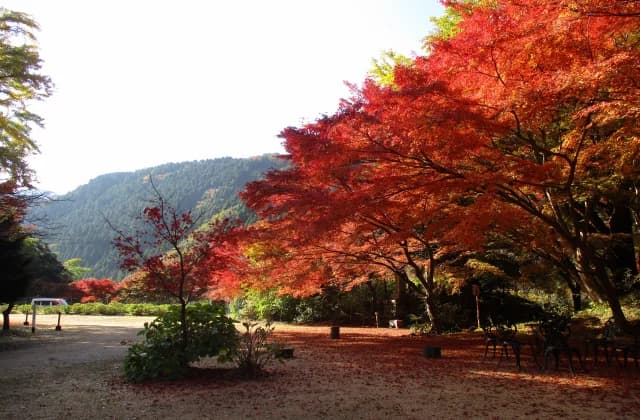 Kiyonori Temple