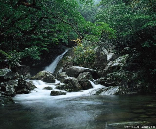 Upper stream of Shiratani Unsuikyo Segiri River
