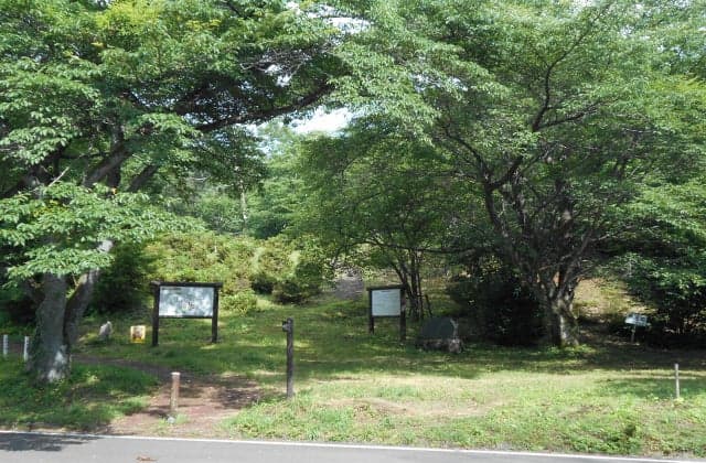 Flag winding Old Battlefield