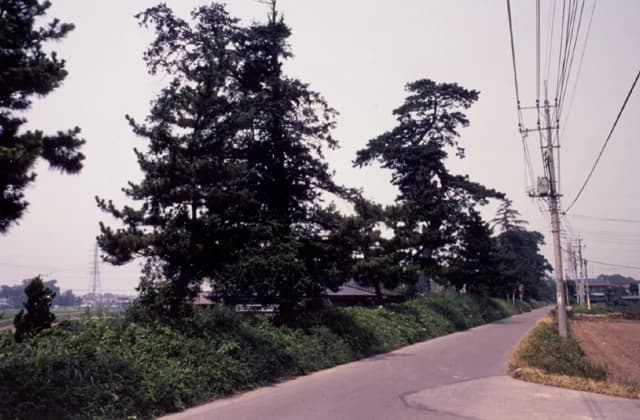 Ishida Tsutsumi