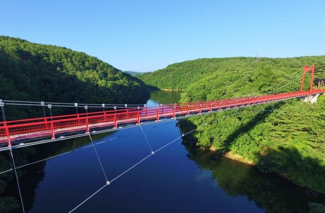 Suspension Bridge (Yukitani River Dam Forest Park, Light Rice)