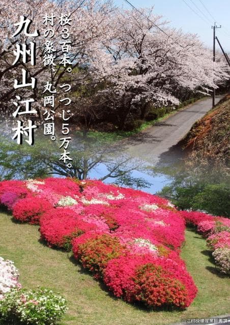 丸岡公園【画像1】