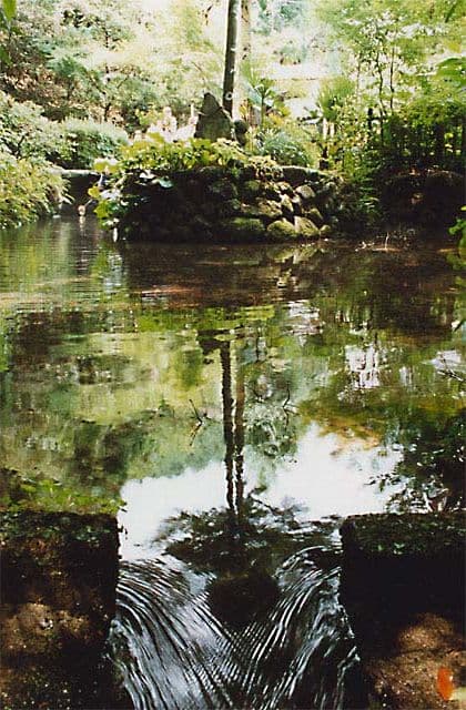 清水湧水