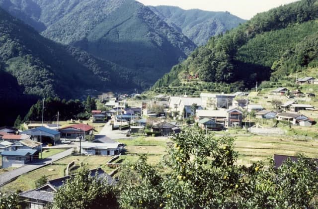 Yuzu