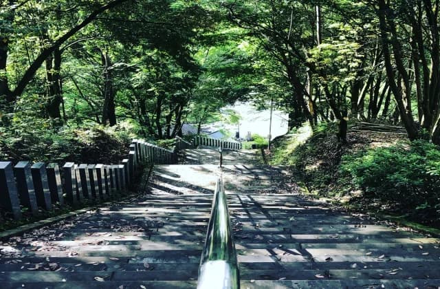日本一の石段 初夏