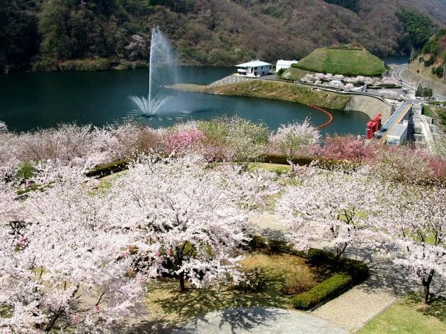 パノラマ公園からの十王ダム
