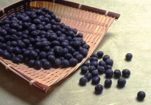 TambaSasayama Black Bean