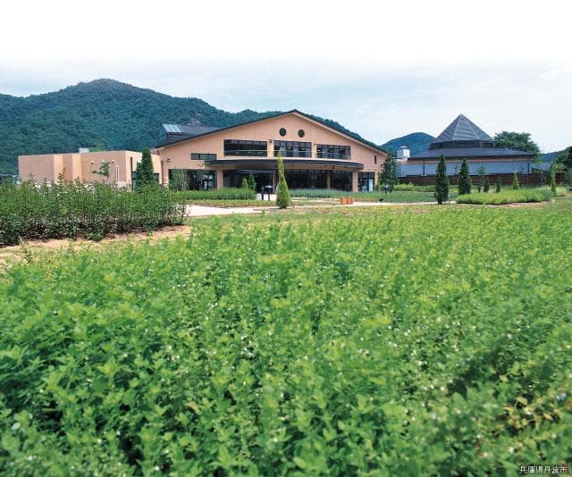 Herbal Medicine Park