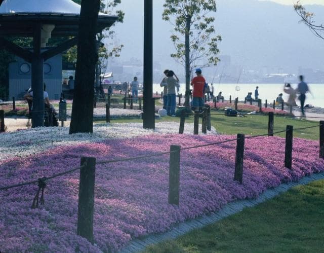 Promenade