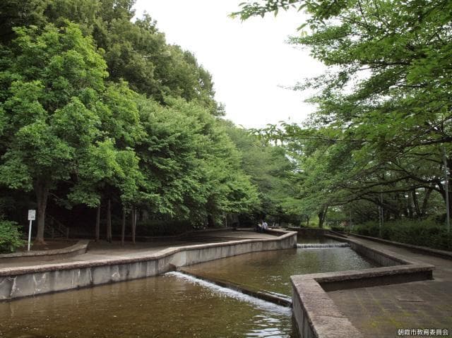Shiroyama in Oka