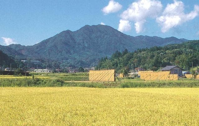 Tainosuyama
