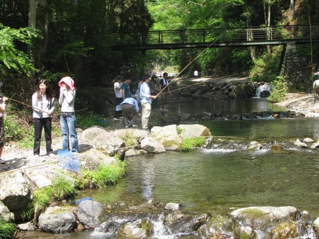 Otaba River International Trout Fishing Ground