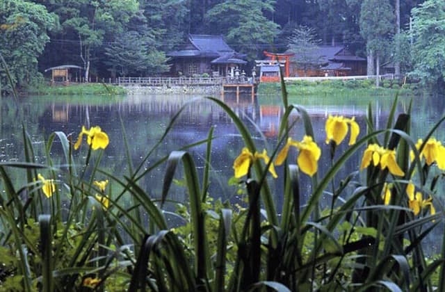 池神社
