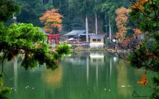 池神社