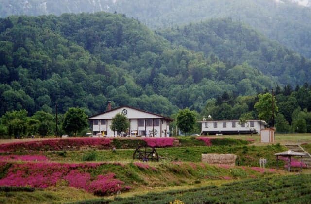 太陽の里(ふれあいの家)