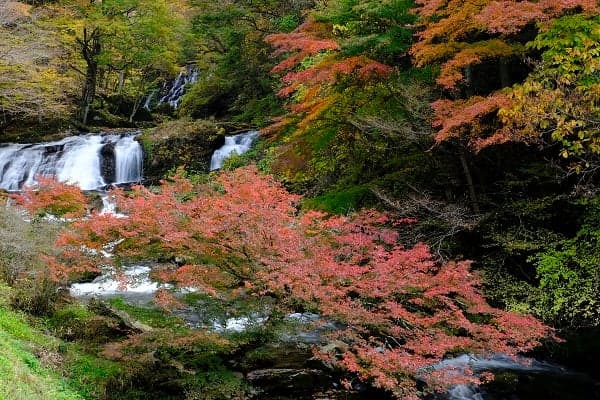 Eryuda Falls with Autumn Leaves