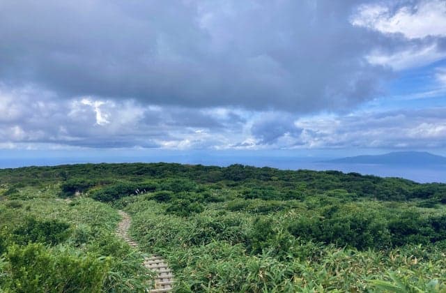 標高600~800mに位置する湿原には御蔵特有の植生が存在。