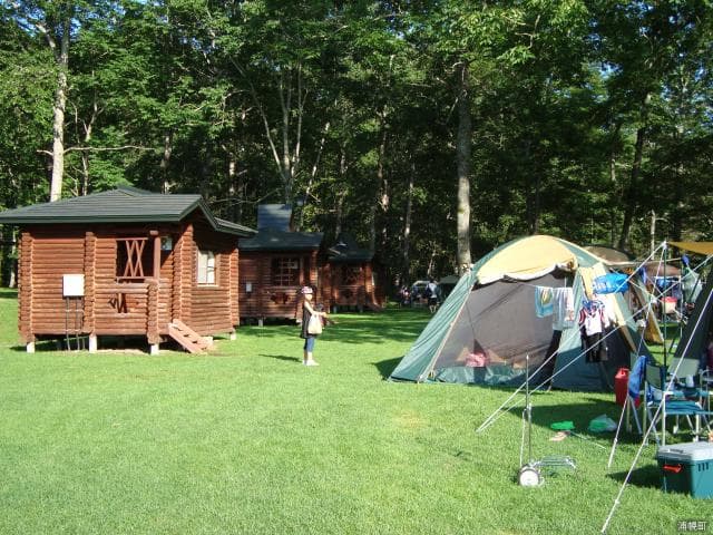 Forest Park Campground