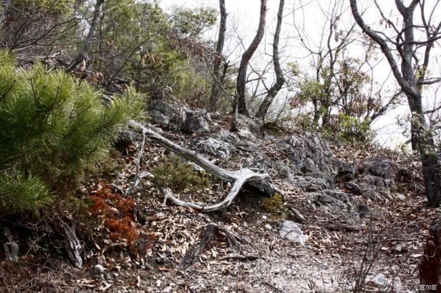 Near the castle tower