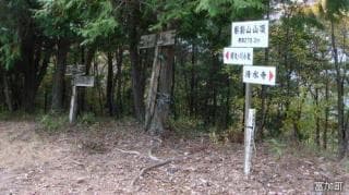Information