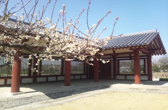 下野薬師寺跡