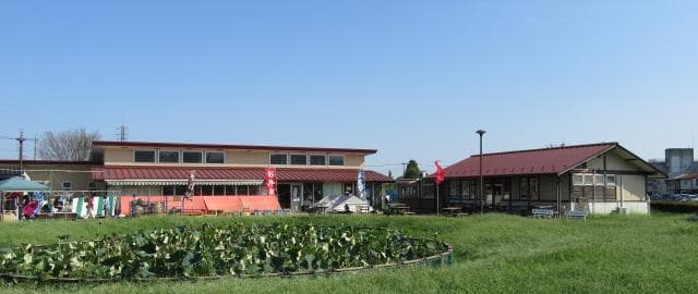 Aji Aya Center