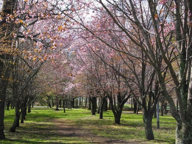 Kiyomigaoka Park