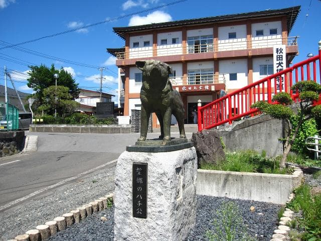 The statue of Hachi-ko in Bogo