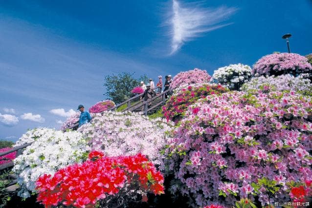 城山公園