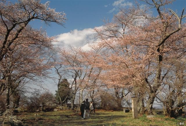 城山公園