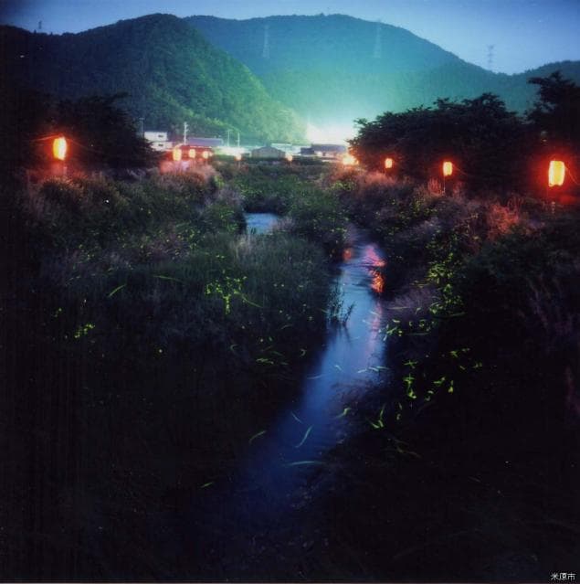 Firefly dancing on the Amano River