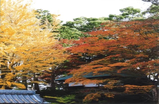 Kanonji
