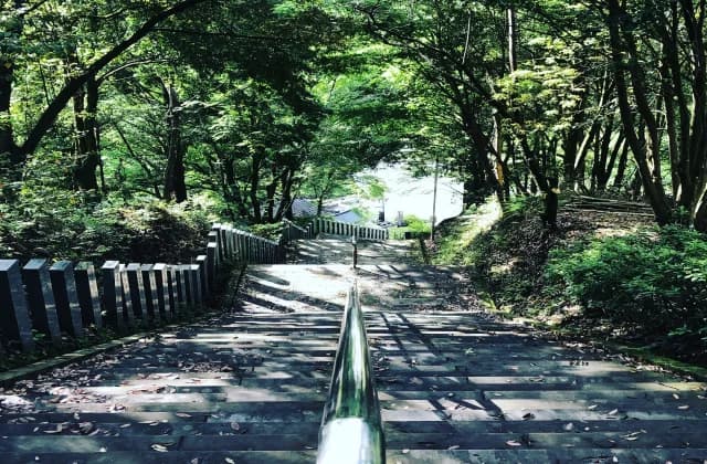 新緑の石段