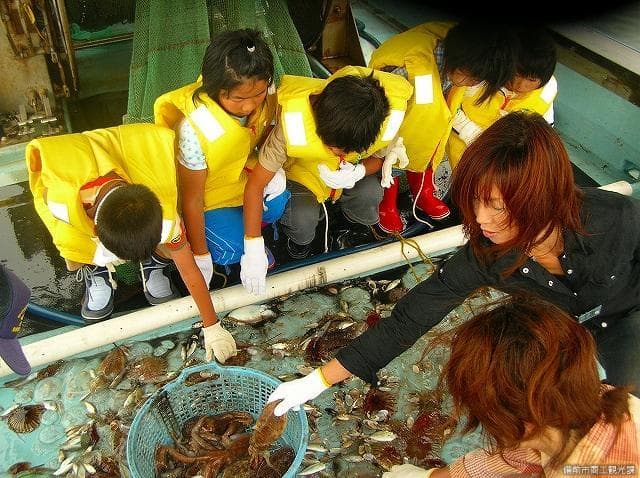 Tourism bottom seine net