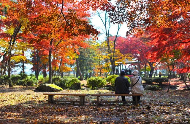 分家庭園