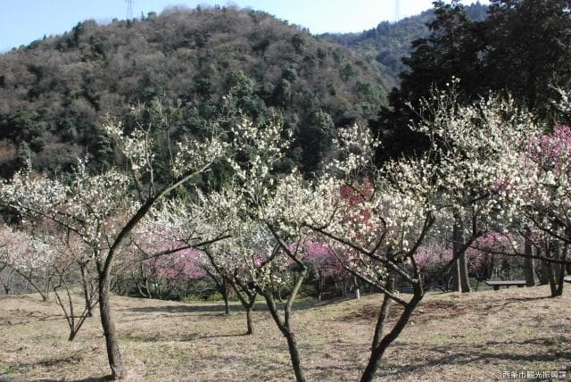 Shimin-no-Mori Baien