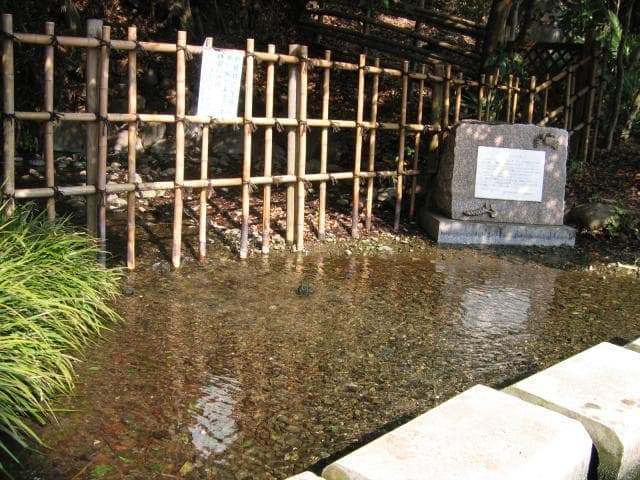 Mama Shimo Spring Park