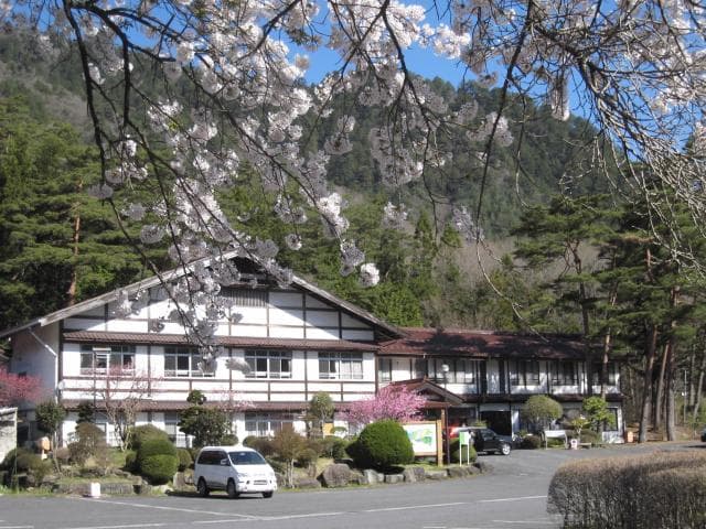 Forrespa Kiso Adoraso