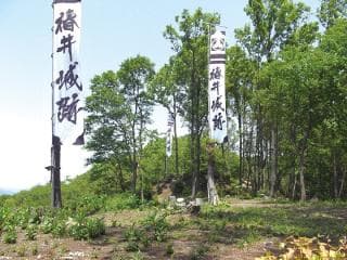 Tsubai Castle Ruins