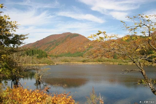 Autumn leaves of Shirakawa Dam