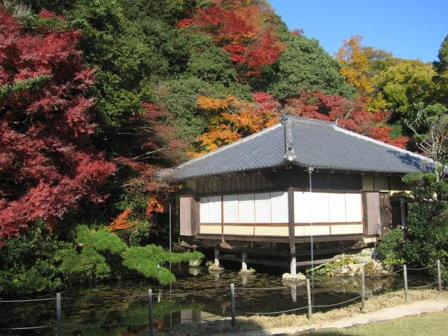 Juyotei in autumn leaves