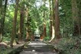 霧島岑神社