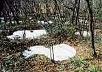 Remains of Zhu Enken Hole House