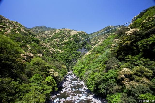 Aya no Mori and the Great Suspension Bridge
