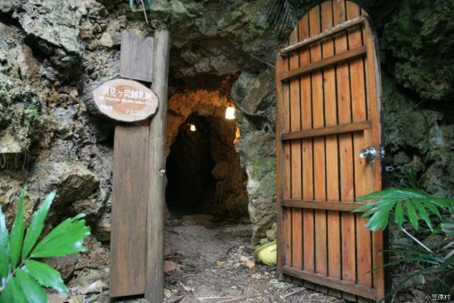 Kiyomi is Oka Limestone Cave
