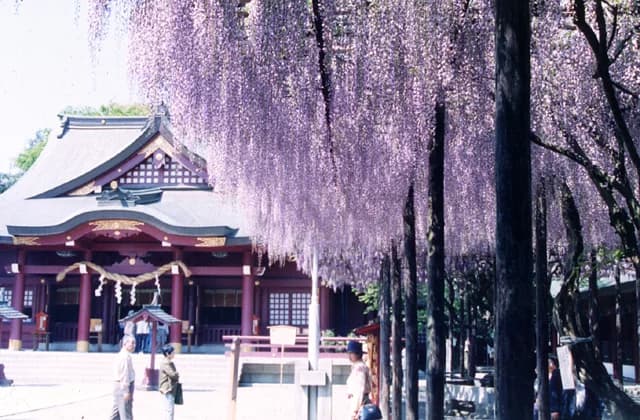 Ofuji
