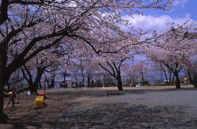富ヶ浦公園